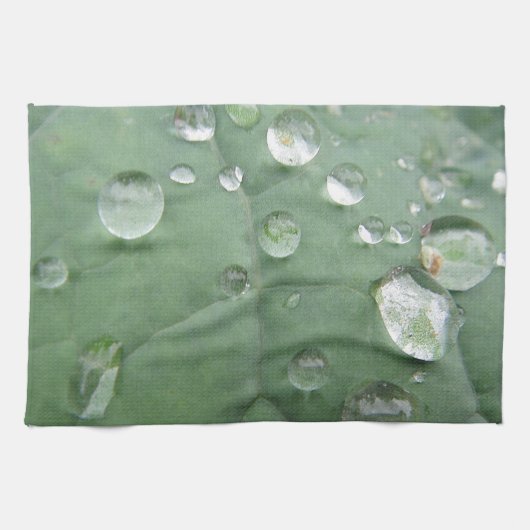 Geschirrtuch Wassertropfen auf grau-grünem Blatt Theedoek (Horizontaal)