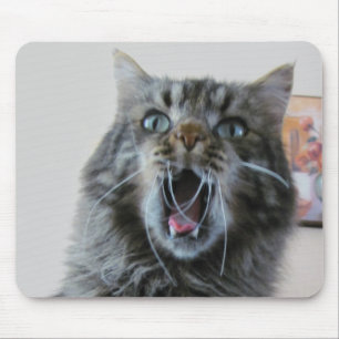 Geschokte kitty is geschokt muismat