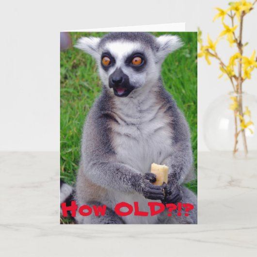 Geschokte Lemur Verjaardag Kaart (Gele Bloem)
