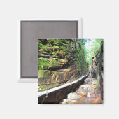 Geschorste Pad Stream Franconia Notch NH Magnet (Voorkant / Achterkant)