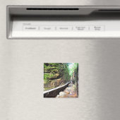 Geschorste Pad Stream Franconia Notch NH Magnet (Insitu (Vaatwasser))