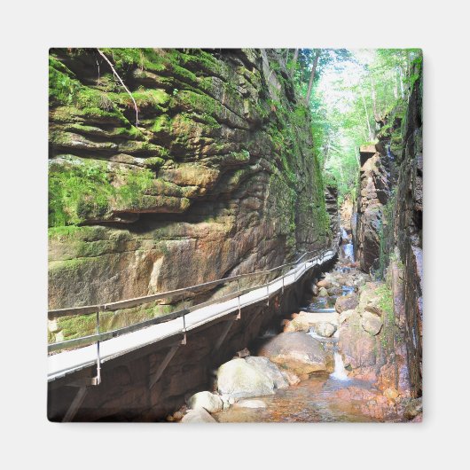 Geschorste Pad Stream Franconia Notch NH Magnet (Voorkant)
