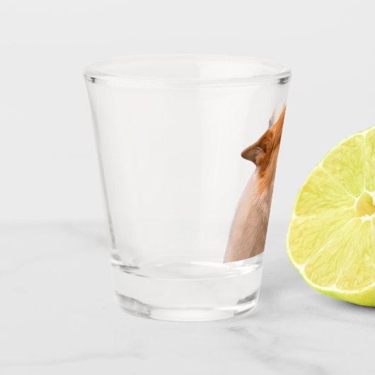 Geschoten glas glimlachend Corgi Meme (Links)