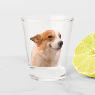 Geschoten glas glimlachend Corgi Meme