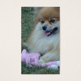 Geschriften gemaakt plezier: Psalm 37:4 Visitekaartje