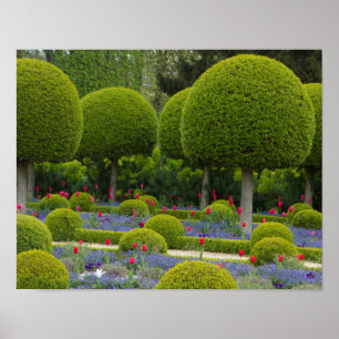 Gesculpteerde Poster van bomen