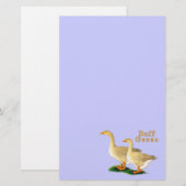 Gese: Amerikaanse boeien Briefpapier (Voorkant / Achterkant)