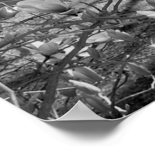 Geselecteerde bloemen poster (Hoek)