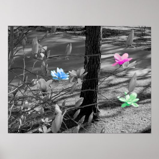 Geselecteerde bloemen poster (Voorkant)