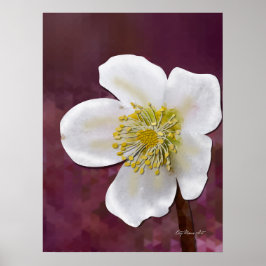 Gesigneerde High-Poly Winterroos Kunstprint Poster