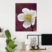 Gesigneerde High-Poly Winterroos Kunstprint Poster (Thuiskantoor)