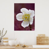 Gesigneerde High-Poly Winterroos Kunstprint Poster (Keuken)