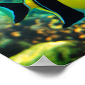 Gesigneerde vis met lange vleugels poster (Hoek)