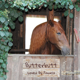 Gesimuleerde rustieke houten paard kraam klassieke deurbordjes