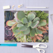 Geslaagd weefselpapier tissuepapier (Craft)