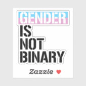 Geslacht is niet binair sticker (Vel)