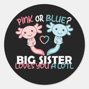 geslacht laat roze of blauw zien Big Sister houdt Ronde Sticker
