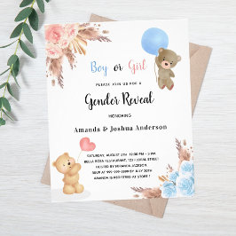 Geslacht laat zien dat er een begroting voor een p flyer