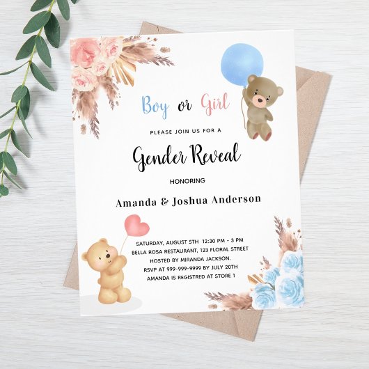 Geslacht laat zien dat er een begroting voor een p flyer