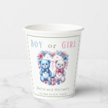 Geslacht onthul baby shower Teddybeer blauw roze 4