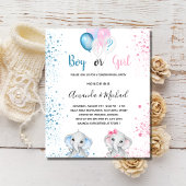 Geslacht onthullen baby shower budget uitnodiging flyer