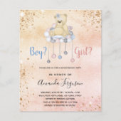 Geslacht onthullen baby shower testdy budget uitno flyer (Voorkant)