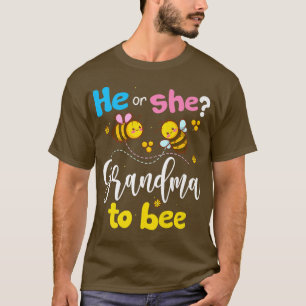 Geslacht onthullen dat hij of zij oma roze of blu t-shirt
