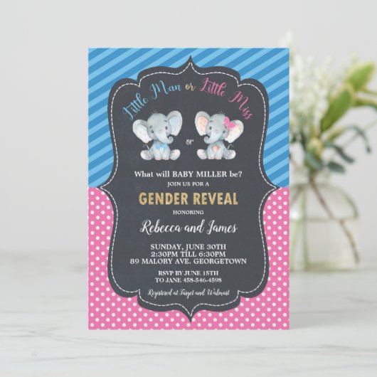 Geslacht onthullen Elephant Little Man of Little M Kaart (Staand voorkant)