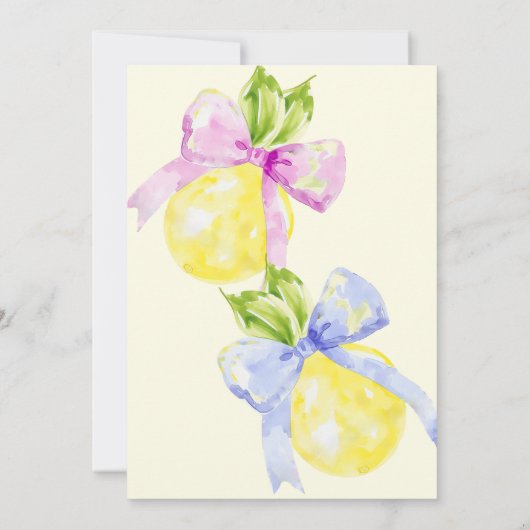 Geslacht Onthullen Hij of Zij Roze Blauwe Boog Cit Kaart (Achterkant)