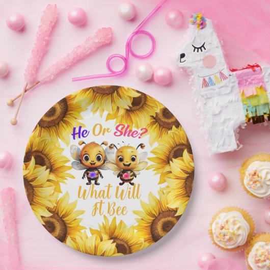 Geslacht onthullen hij of zij wat het zal zijn papieren bordje (Feest)