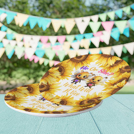 Geslacht onthullen hij of zij wat het zal zijn papieren bordje