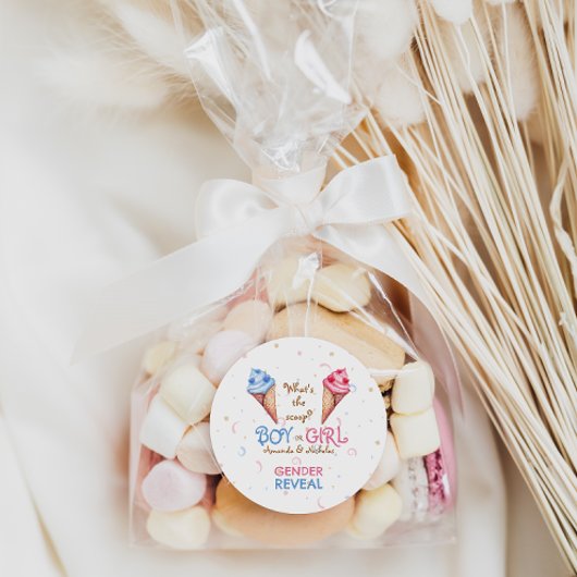 Geslacht onthullen ijsschep ronde sticker