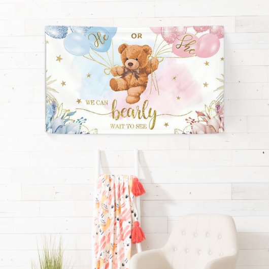 Geslacht Onthullen Jongen of Meisje Blauw Roze Bal Spandoek (Insitu)