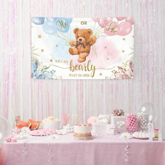 Geslacht Onthullen Jongen of Meisje Blauw Roze Bal Spandoek (Feest)