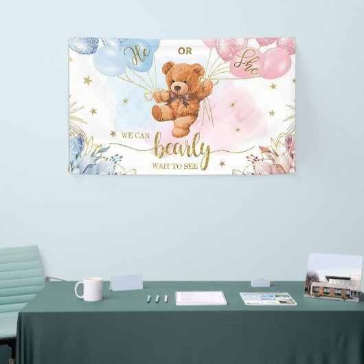 Geslacht Onthullen Jongen of Meisje Blauw Roze Bal Spandoek (Beurs)