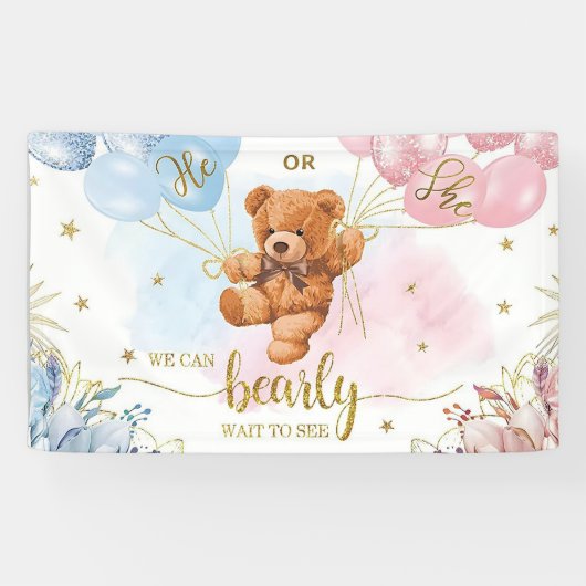 Geslacht Onthullen Jongen of Meisje Blauw Roze Bal Spandoek (Horizontaal)