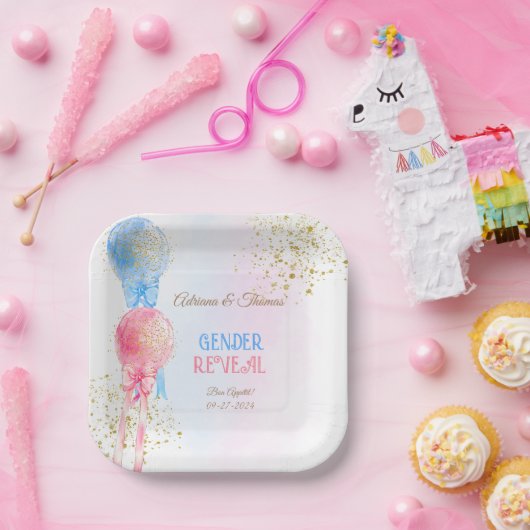 Geslacht onthullen roze en blauwe ballonnen papieren bordje (Feest)