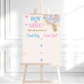 Geslacht onthullen teddybeer roze blauw stembord poster