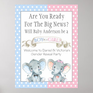 Geslacht onthulling baby shower borden poster