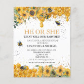 Geslacht Onthulling Bij Honingraat Waterverf (Voorkant)