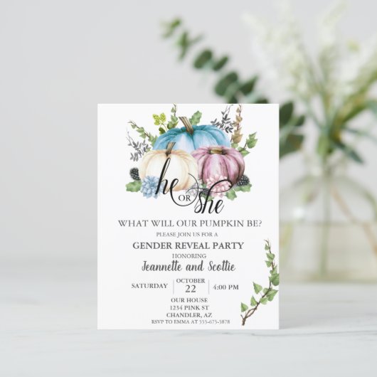 Geslacht onthulling pomkin Pink Blue Autumn Budget (Staand voorkant)