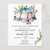 Geslacht onthulling pomkin Pink Blue Autumn Budget (Voorkant)