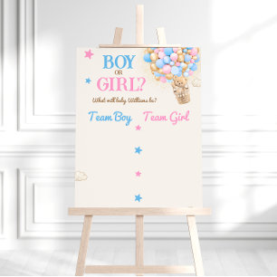 Geslacht onthulling teddybeer roze blauwe stem sti poster