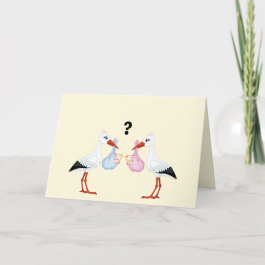 Geslacht onthult schattige ooievaar (Voorkant)