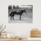 Geslacht oorlogspaard 1916 poster (Keuken)