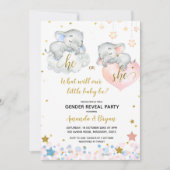 Geslacht Openbaar Baby shower Uitnodiging (Voorkant)
