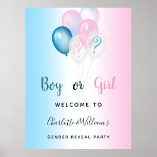 Geslacht openbaring meisje blauw roze welkom poster