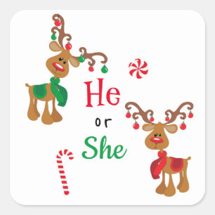 Geslacht Reveal Rendier Kerst Vakantie Vierkante Sticker