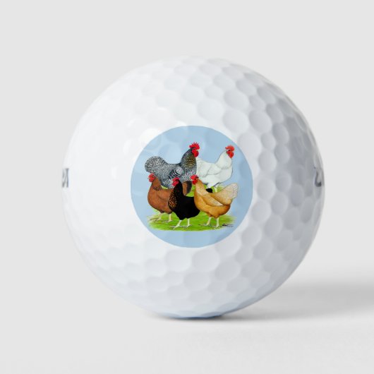 Geslachtsgebonden Kuiken Kwintet Golfballen (Voorkant)