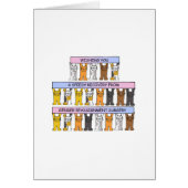 Geslachtshertoewijzing Speedy Recovery (Voorkant)